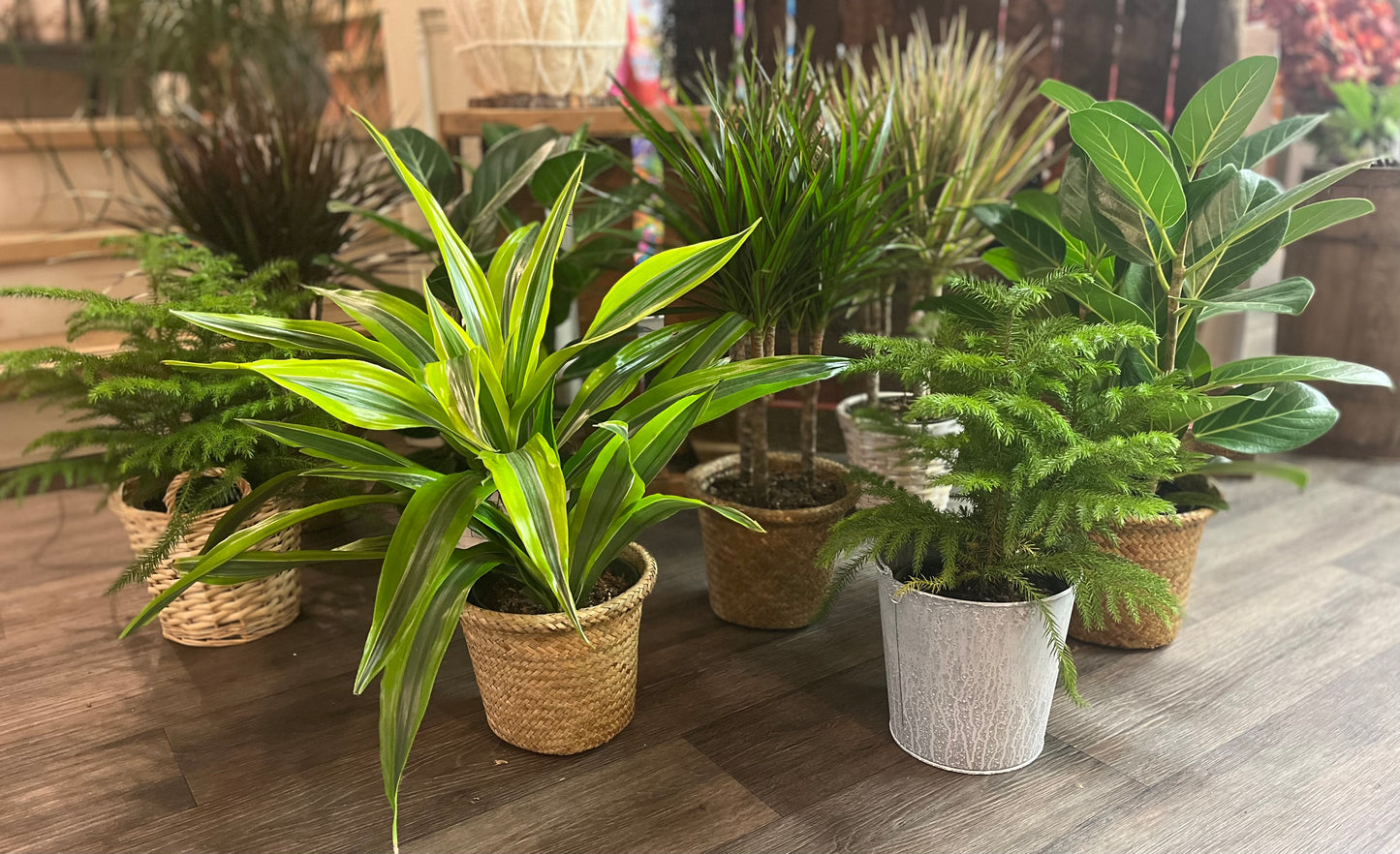 Designer's Choice Green Plant In A Rattan Pot Cover